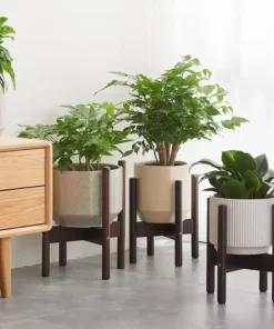 Support pour Pot de Fleur Interieur