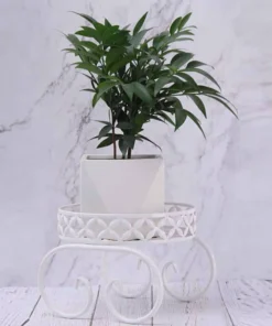 Supports Pots de Fleurs
