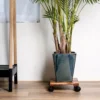 Plateau Roulant pour Plante