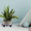 Plateau à Roulettes pour Plantes en pot