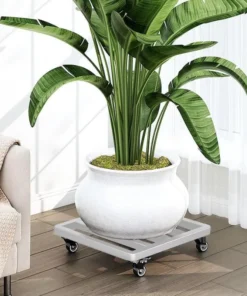 Plateau avec Roulettes pour Plantes en pot