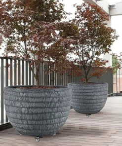 Plateau Plantes Roulettes