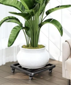 Plateau Roulettes pour Plantes Noir
