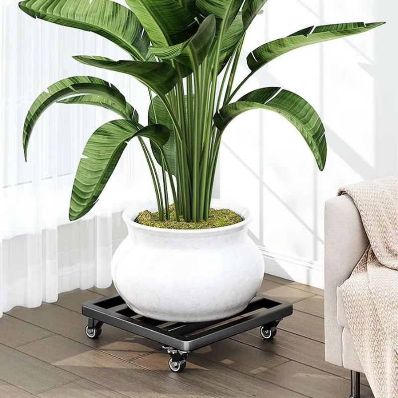 Plateau Roulettes pour Plantes Noir