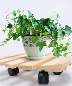 Plateau Rond à Roulettes pour Plante