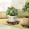 Plateau Roulant Plante Bois