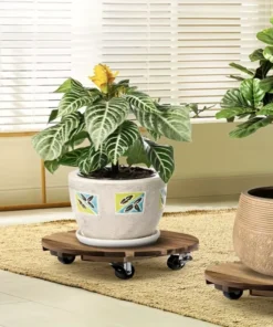 Plateau Roulant Plante Bois