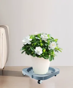 Plateau Roulant pour Plantes en pot