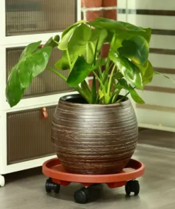 Plateau sur Roulettes pour Plantes et Fleurs
