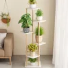 Présentoir Plantes Bois