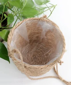 Suspension Interieur Plantes