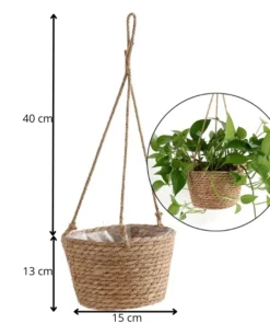 Suspension Interieur Plante dimensions