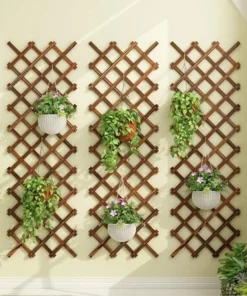 Treillis Fleurs et Plantes Grimpantes