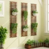 Treillis Plante Grimpante en Bois