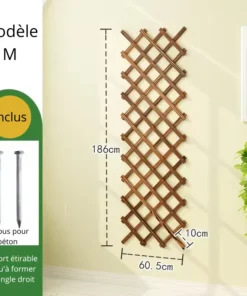 Treillis Plante Grimpantes M