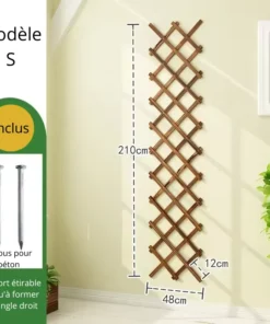 Treillis Plante Grimpantes S