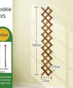 Treillis Plante Grimpantes XS