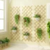 Treillis Pour Plante Grimpante en Bois
