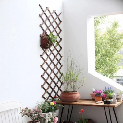 treillis plante grimpante murale