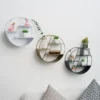 Support Pot de Fleurs et Plantes Mural