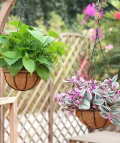 Chaîne pour Suspension Plante en Métal