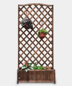 Fleurs et Plante Grimpante sur Treillis
