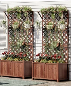 Fleurs et Plantes Grimpante Treillis