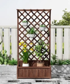 Fleurs et Plantes Grimpantes pour Treillis