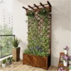 Plante Grimpante Treillis en Bois