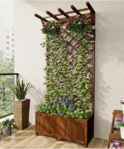 Plante Grimpante Treillis en Bois