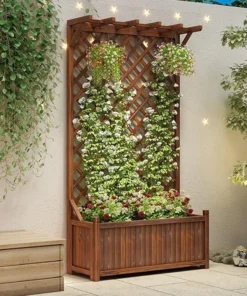 Plante Grimpante Treillis jardinière