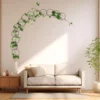 Plante Grimpante pour Treillis Rond
