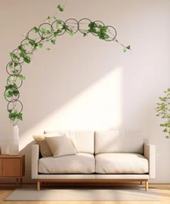 Plante Grimpante pour Treillis Rond