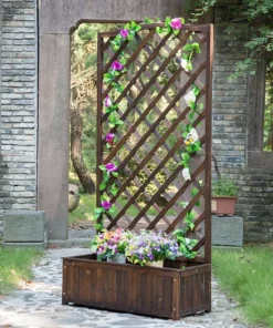 Plante Grimpante sur Treillis Jardinière