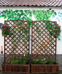 Plante Grimpante sur Treillis Meuble