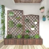 Plante Grimpante sur Treillis en Bois