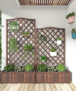 Plante Grimpante sur Treillis en Bois