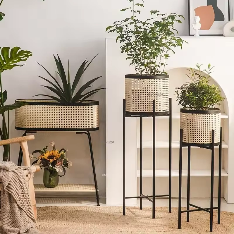 Plante Table Fleurs