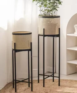 Plante Table Plantes