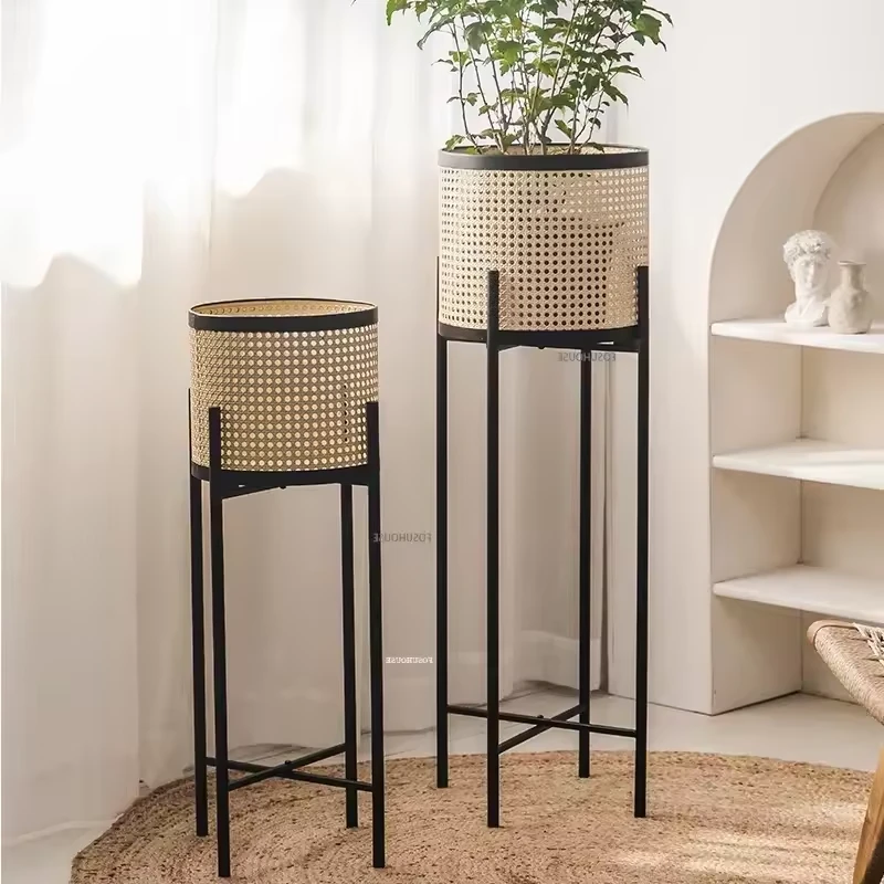 Plante Table Plantes