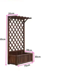 Plantes Grimpantes pour Treillis 75cm