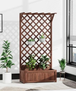 Plantes Grimpantes pour Treillis Jardinière