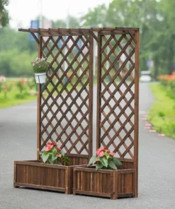Plantes Grimpantes pour Treillis Meuble
