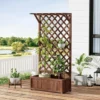 Plantes Grimpantes pour Treillis en Bois