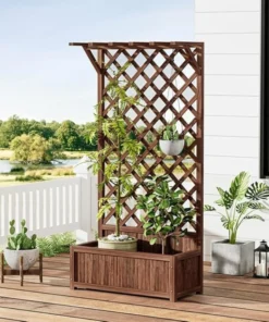 Plantes Grimpantes pour Treillis en Bois