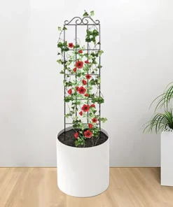 Plantes Grimpantes sur Treillis design