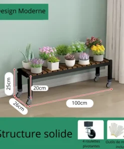 Plateau à Roulette pour Plante 25cm
