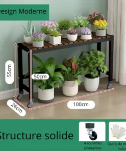 Plateau à Roulette pour Plante 55cm