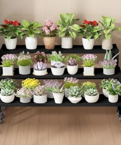 Plateau à Roulette pour Plante Etagère