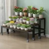 Plateau à Roulette pour Plantes et Fleurs